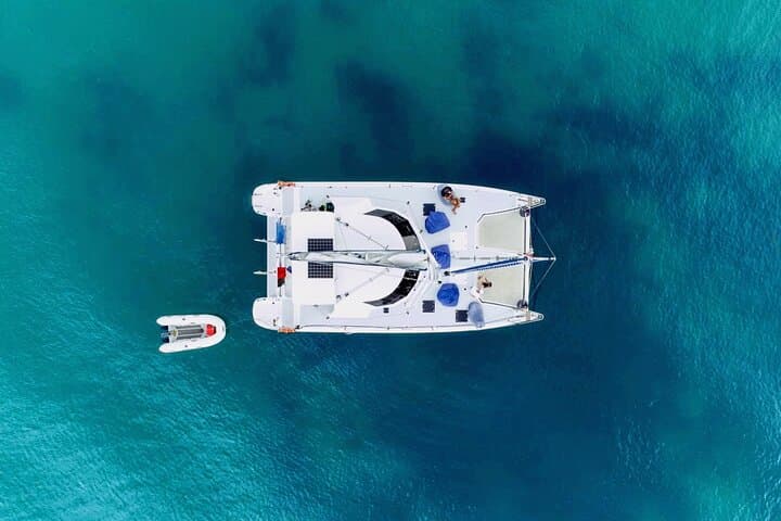 Bay of Islands Full-Day Catamaran Charter with Island Stop and Lunch photo 6