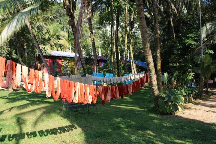 Explore Galle's Hidden Gems: Fort Walks, Koggala Lake & Home Dining