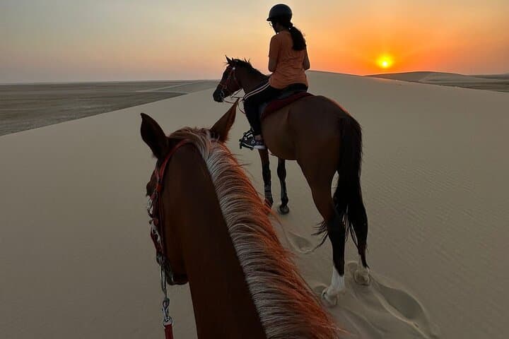 Doha Desert Safari: Horse Riding, ATVs, Camel Rides & the Inland Sea photo 1