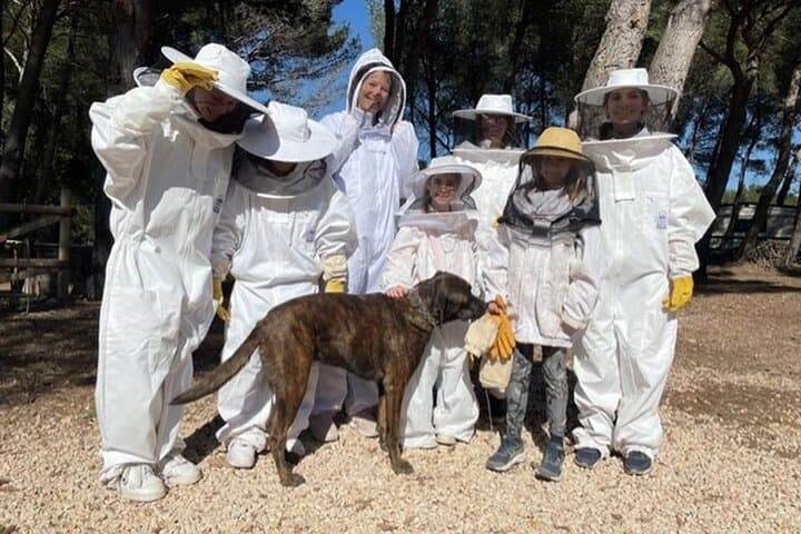 Immersion in a Beehive: Sacred Bees Experience in the Alpilles