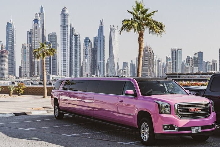 Dubai Luxury Limousine Ride: One-Hour VIP City Transfer & Sightseeing photo 5