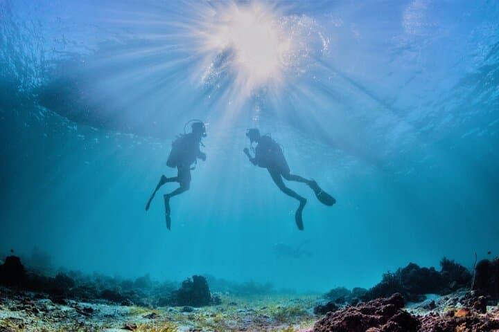 Sea Baptism at Ruja Island: Beginner Scuba Dive in Tavolara Marine Park