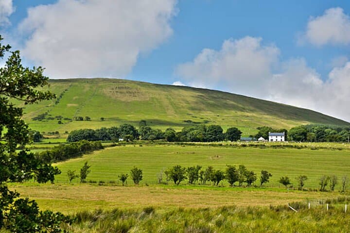 Giants Causeway and Belfast Shore Excursion: Full-Day Coastal Tour from Belfast photo 4