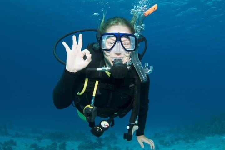 Sea Baptism at Ruja Island: Beginner Scuba Dive in Tavolara Marine Park photo 6