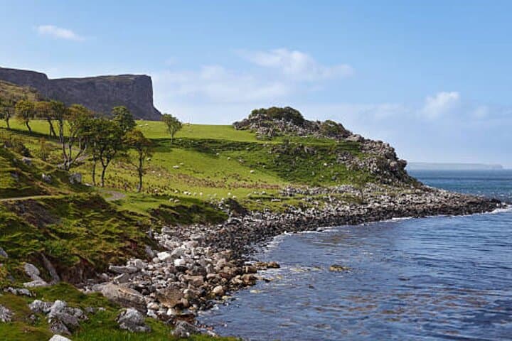 Giants Causeway and Belfast Shore Excursion: Full-Day Coastal Tour from Belfast photo 6