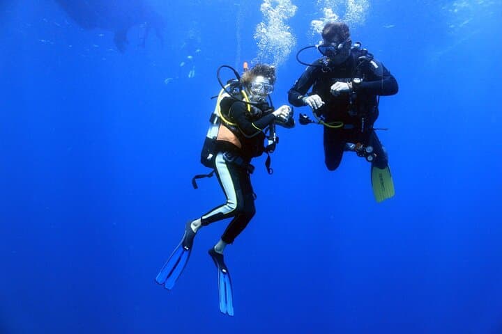 Sea Baptism at Ruja Island: Beginner Scuba Dive in Tavolara Marine Park photo 4