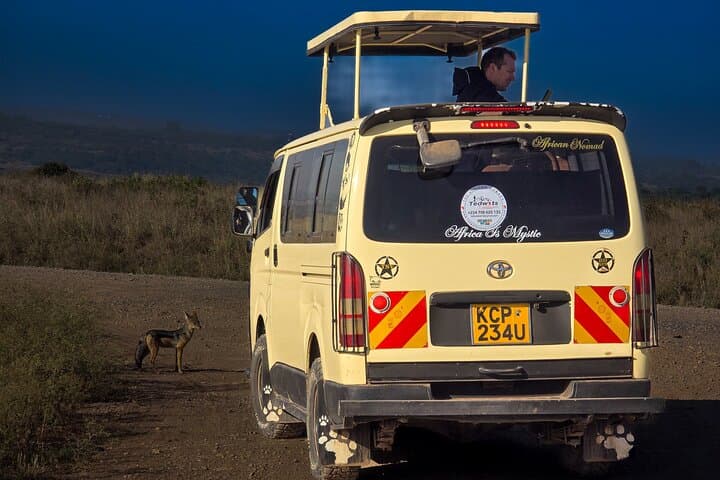 Half-Day Safari at Nairobi National Park: Wildlife on Nairobi’s Doorstep photo 5