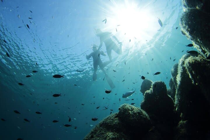 Tavolara & Molara Professional Two-Tank Dives from San Teodoro — Sardinia’s Marine Park photo 3