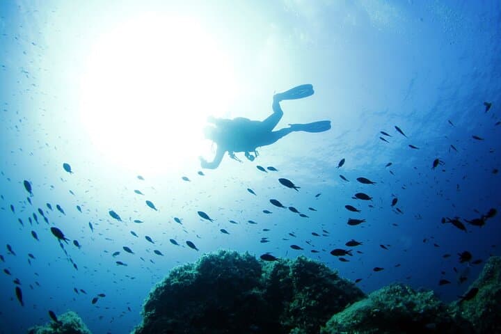 Tavolara & Molara Professional Two-Tank Dives from San Teodoro — Sardinia’s Marine Park