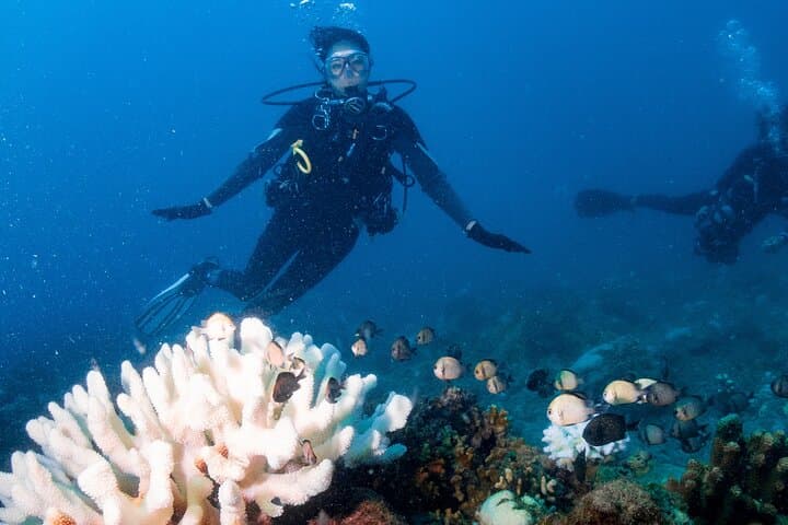 Dive with Green Sea Turtles at Xiaoliuqiu — Beginner Scuba Experience photo 6
