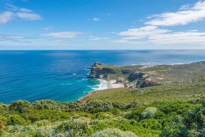 Cape Peninsula Day Tour: Penguins, Cape Point & Hout Bay Scenic Drive photo 5