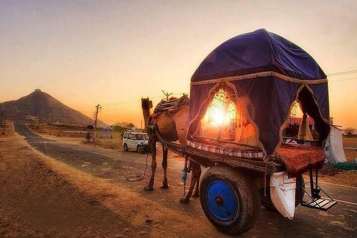 Pushkar Cultural Day Trip from Jaipur: Brahma Temple, Lake & Camel Ride photo 2
