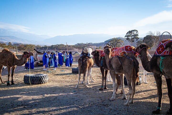 Agafay Desert Quad and Camel Evening: Sunset Rides, Atlas Views & Moroccan Dinner photo 4