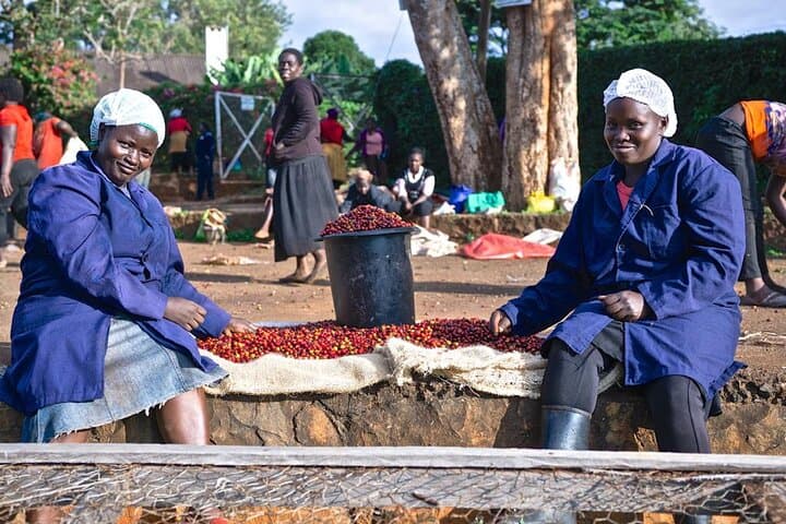 Nairobi Coffee Farm & Factory Half‑Day Tour — From Cherry to Cup