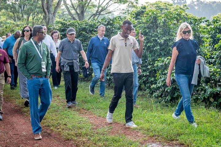 Fairview Coffee Farm Tour: Nairobi Coffee Cupping & Farm Walk photo 4