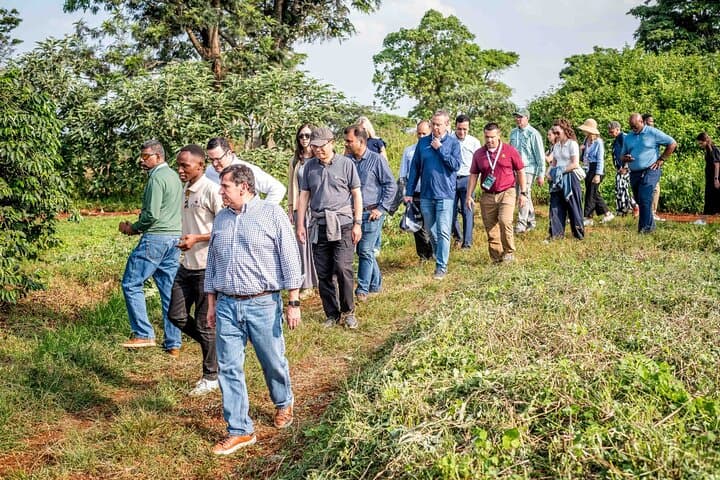 Fairview Coffee Farm Tour: Nairobi Coffee Cupping & Farm Walk photo 5