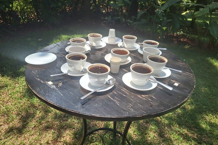 Fairview Coffee Farm Tour: Nairobi Coffee Cupping & Farm Walk photo 6