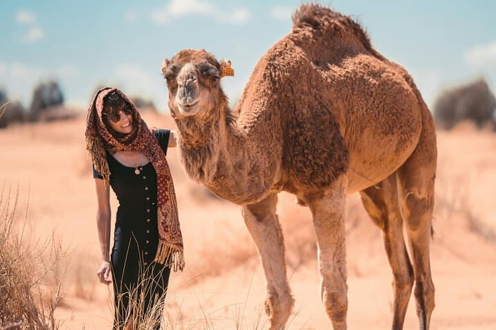 Zagora Desert Escape: 2-Day Marrakech to Zagora Camel & Kasbah Adventure photo 2