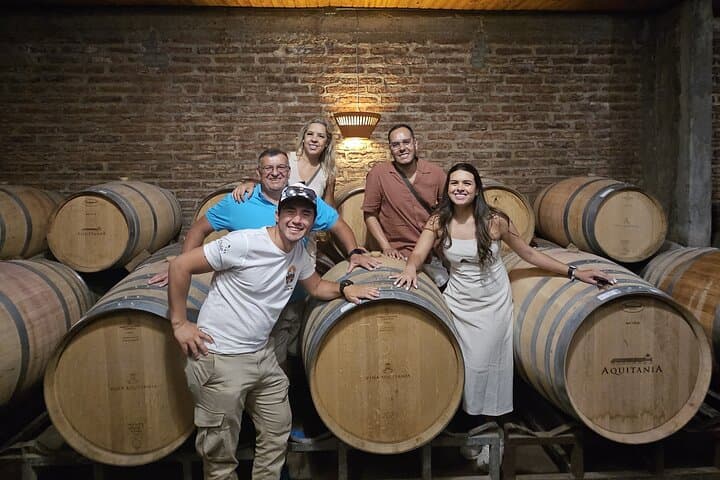 Private Maipo Valley Wine Tour — Two Premium Wineries with Lunch from Santiago photo 3