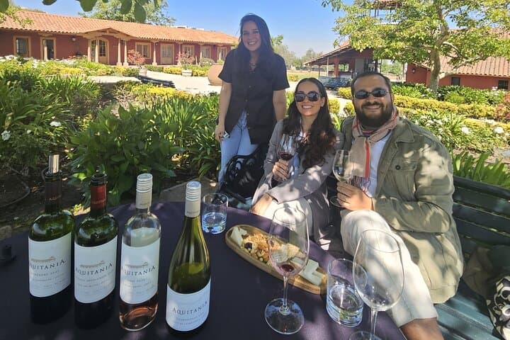Private Maipo Valley Wine Tour — Two Premium Wineries with Lunch from Santiago