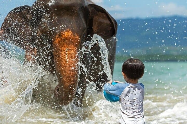 Krabi Immersive Elephant Sanctuary Experience: Half-Day Ethical Encounter Near Krabi