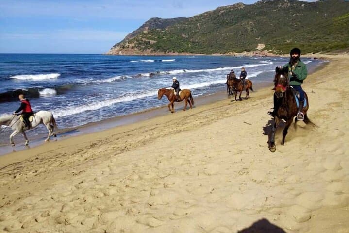 Expert Horseback Ride from Lake Baratz to Porto Ferro photo 2