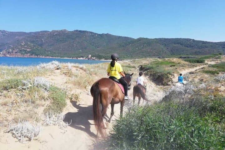 Expert Horseback Ride from Lake Baratz to Porto Ferro photo 3