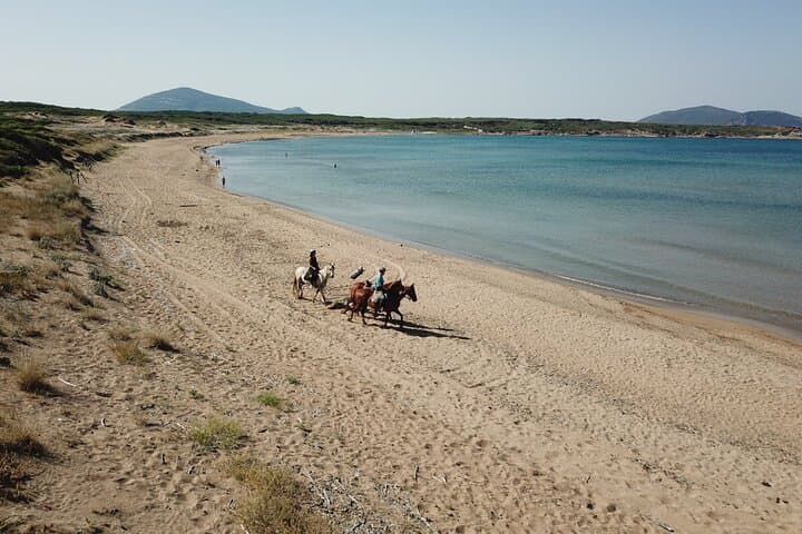 Expert Horseback Ride from Lake Baratz to Porto Ferro photo 5