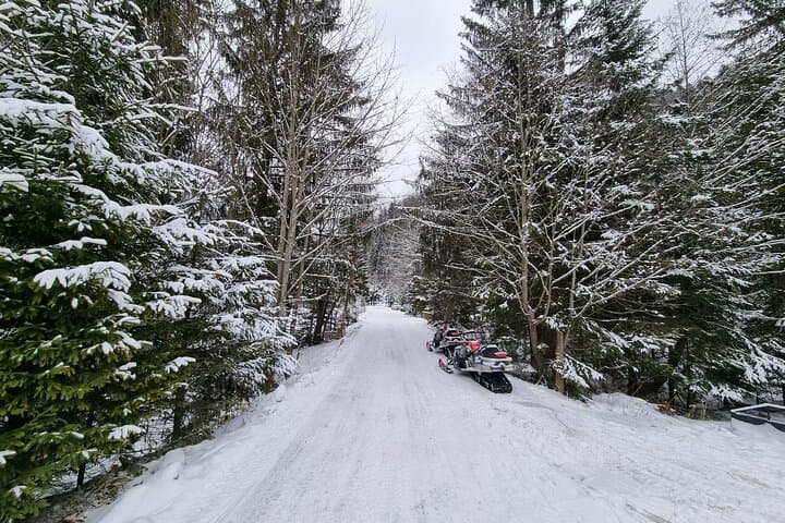 Carpathian Snowmobile Day Tour from Bucharest to Sinaia & Peleș Castle photo 5