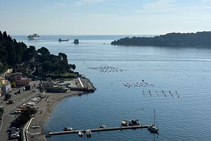 Cinque Terre Boat Tour from La Spezia — Portovenere, Le Rosse & Swim Stops photo 3
