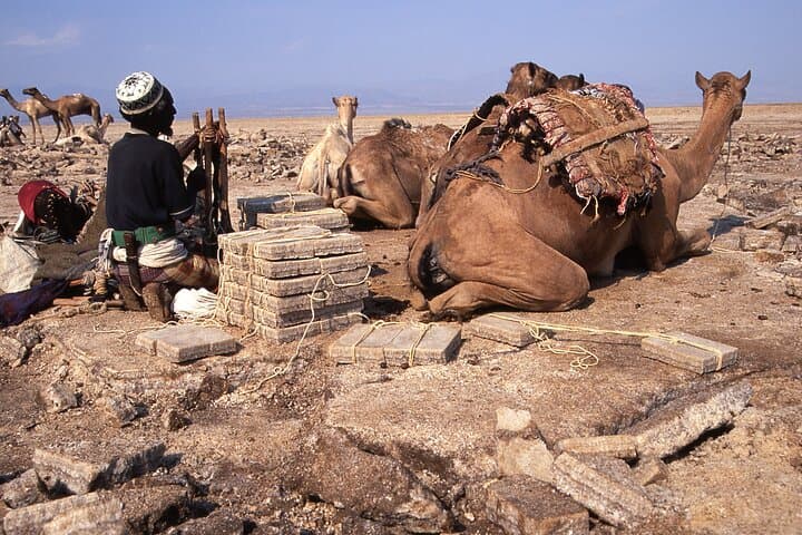 3-Day Danakil Depression Adventure: Erta Ale & Dallol Geothermal Tour photo 3