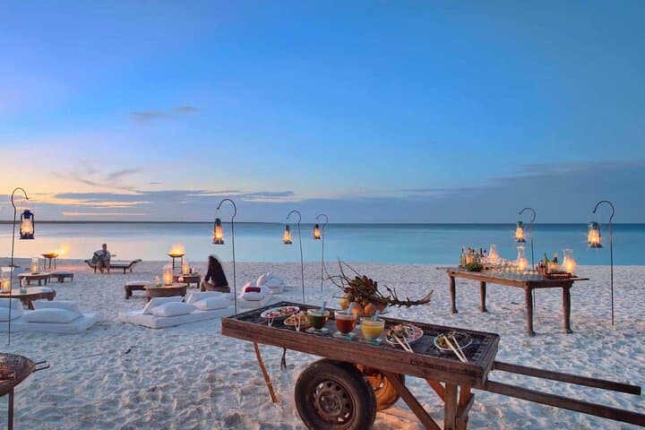 14-Day Luxury Honeymoon in Sri Lanka: Beaches, Tea Plantations & Safari photo 4