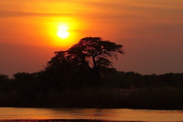 Mombasa Sunset Cruise on Mtwapa Creek: Mangroves, Birds & Baobab Views photo 3