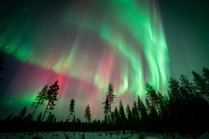 Rovaniemi Northern Lights Bus Tour — Aurora Hunt with Hot Blueberry Juice photo 4