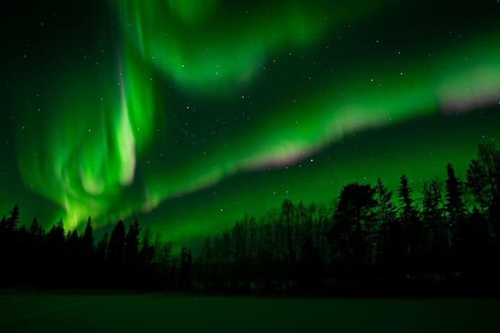 Rovaniemi Northern Lights Bus Tour — Aurora Hunt with Hot Blueberry Juice photo 2