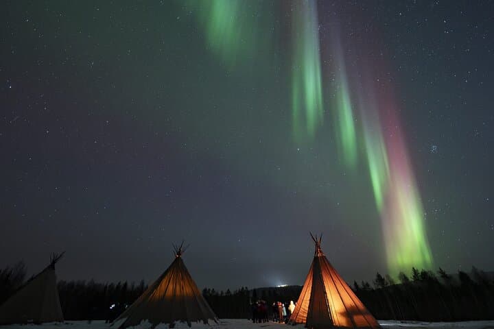 Rovaniemi Northern Lights Hunt: Campfire BBQ Aurora Tour from Rovaniemi