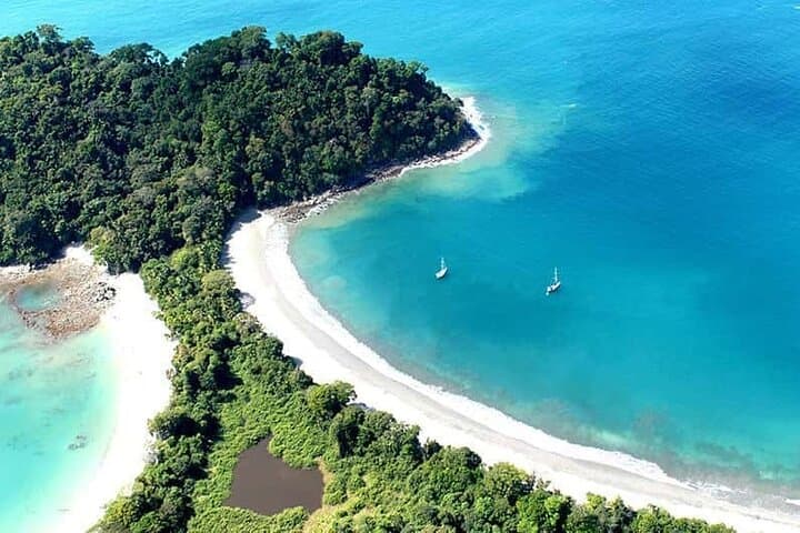 Explore Manuel Antonio National Park: Guided Wildlife Walk from Jaco and Los Suenos