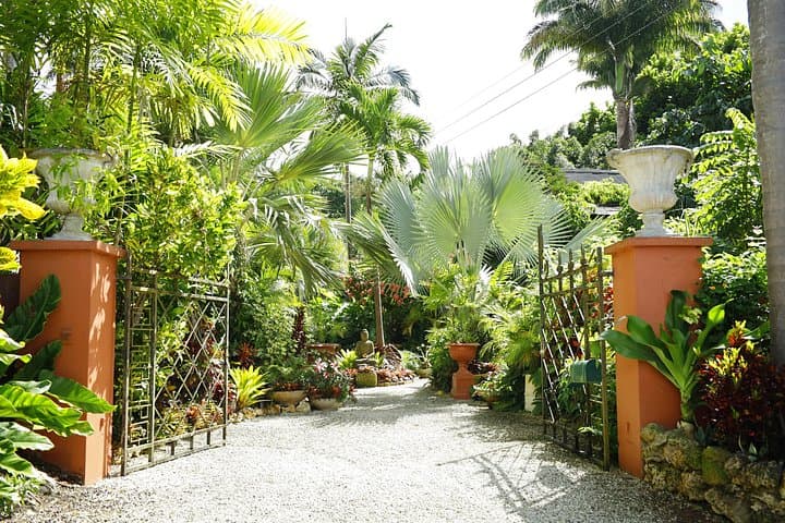 Enchanted Gardens of Barbados: Welchman Hall, Flower Forest & Hunte's Gardens photo 1
