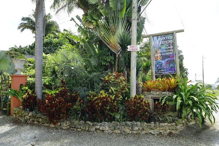Enchanted Gardens of Barbados: Welchman Hall, Flower Forest & Hunte's Gardens photo 2