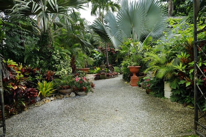 Enchanted Gardens of Barbados: Welchman Hall, Flower Forest & Hunte's Gardens photo 4