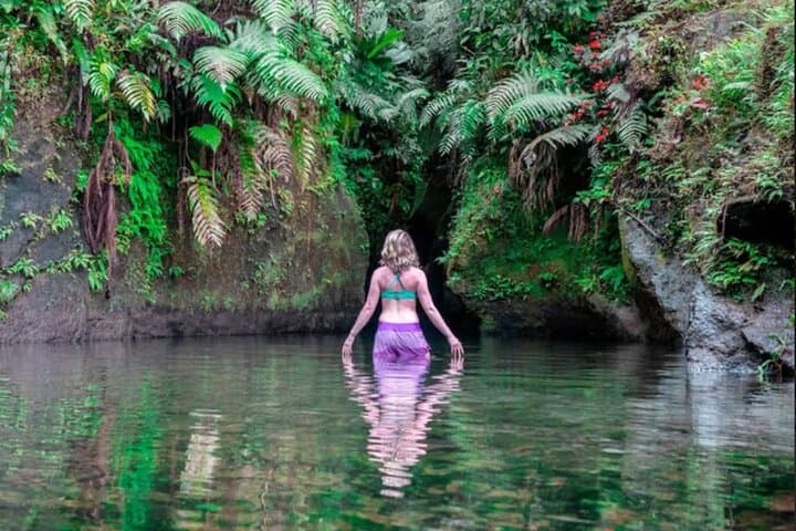 Emerald Pool & Trafalgar Falls Mega Tour — Dominica's Waterfall Circuit photo 2