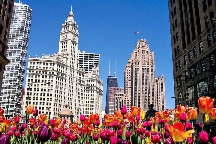 Explore Chicago’s Iconic Sights on a Private 3-4 Hour City Tour photo 2