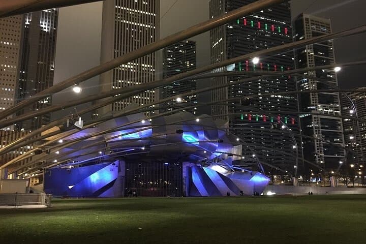 Explore Chicago’s Iconic Sights on a Private 3-4 Hour City Tour photo 3