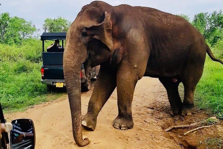 Best of Sri Lanka 14-Day Luxury Private Tour: Wildlife Safaris, Tea Country & Southern Beaches photo 4