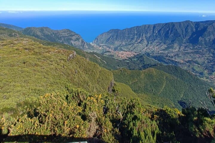 Porto Moniz Pools & Fanal Forest Private West Tour from Funchal photo 1