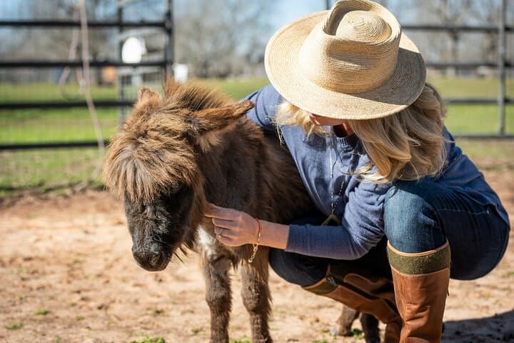 Rose Therapeutic Farm Day Pass: Hands-On Animal Encounters Near Dallas photo 2