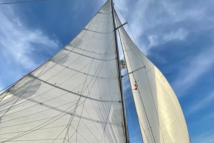 Private Catamaran Sailing Tour in Guanacaste: Snorkel, Dolphins & Lunch photo 4