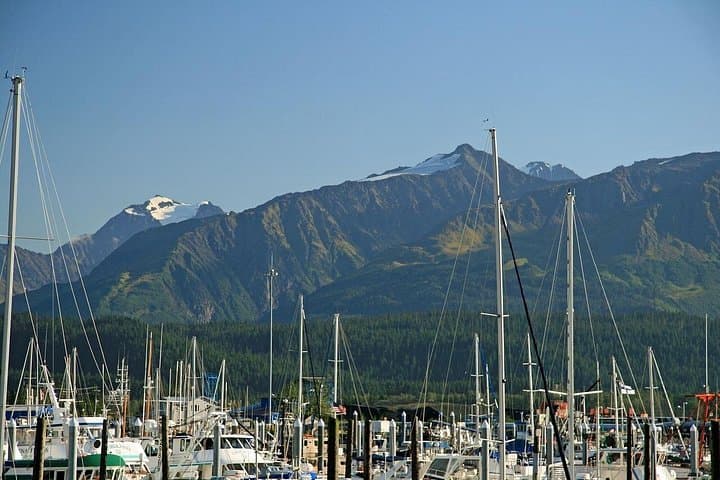 Best of Seward Alaska: Exit Glacier, Alaska SeaLife Center & City Highlights photo 3