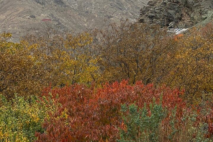 Imlil Waterfall & Berber Villages Day Trip with Camel Ride from Marrakech photo 3