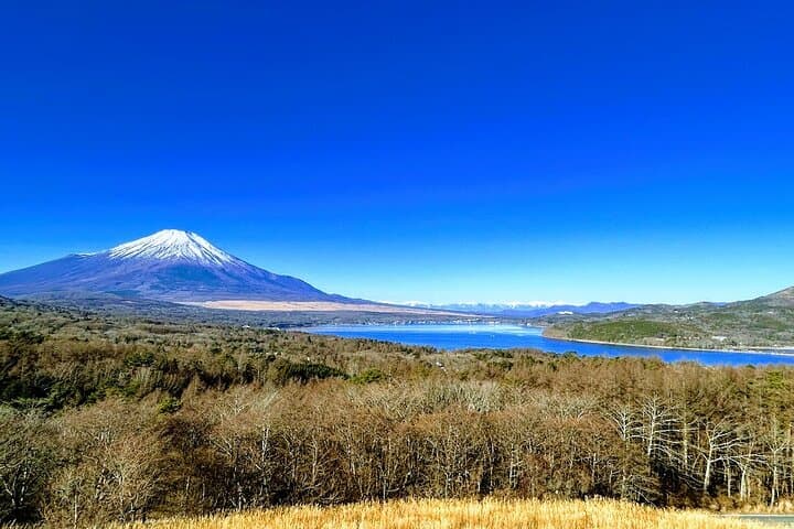 Private Mount Fuji Day Trip from Tokyo: Lakes, Pagodas & Houtou